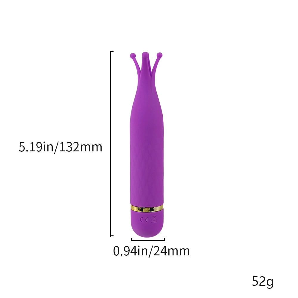 Silicone 10 Speeds G Spot Sex Toy Mini Bullet Vibrator for Women