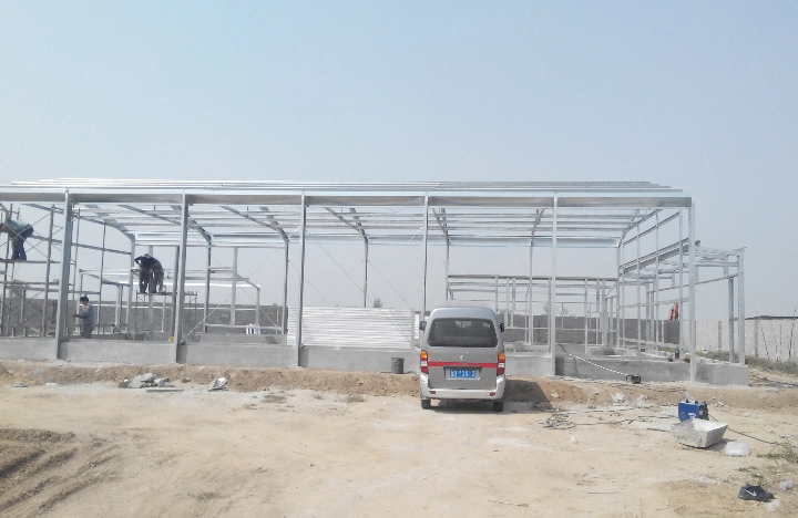 Light Steel Structure Chicken Coops with Full Equipment for Sale