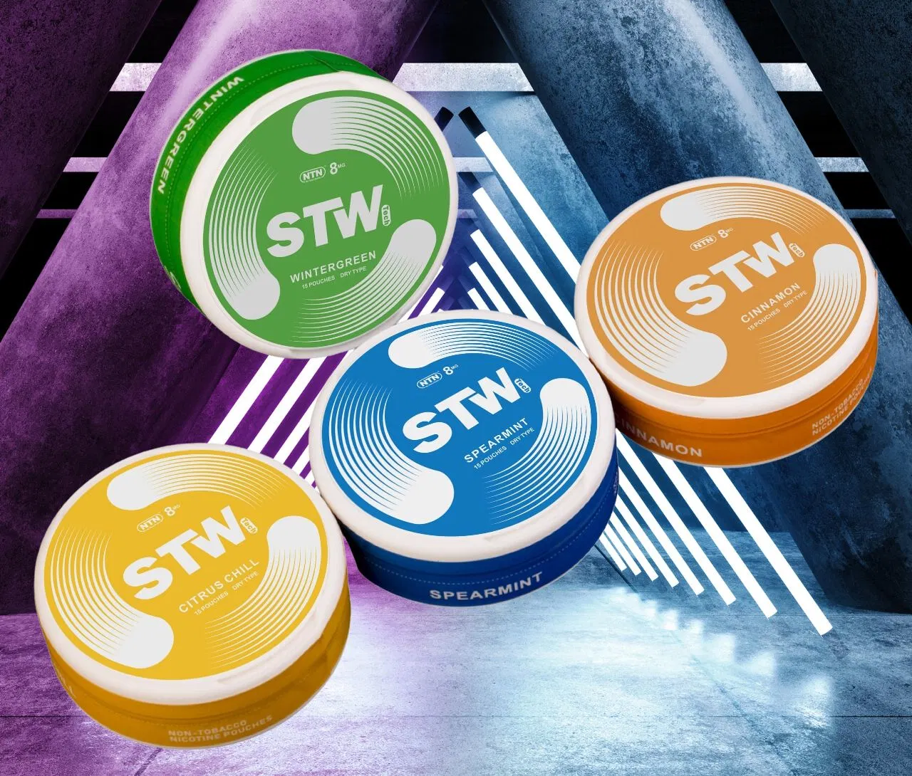 Accept Custom Logo and Packaging White Pouches Snus with Mutiple Flavors Zyn