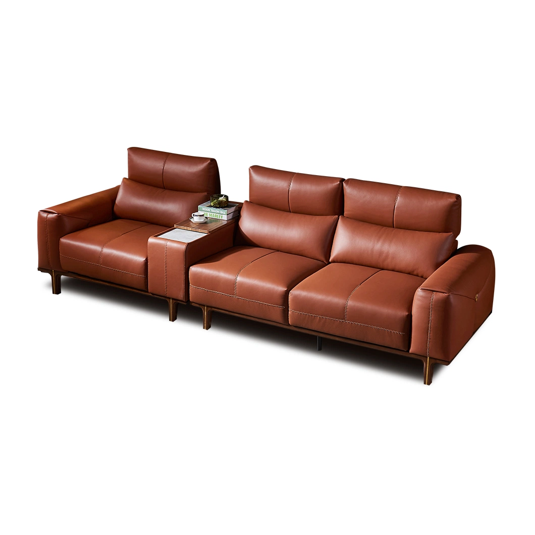 Luxury Executive новый дом современной мебелью в гостиной зоне регистрации цельной древесины диван