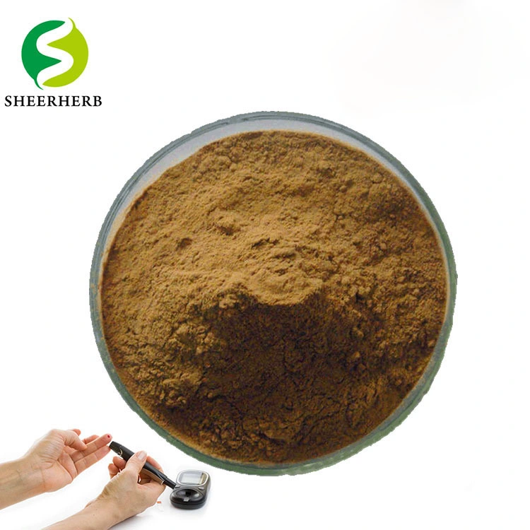 Herbal Memory Enhancer 5% 98% Raw Materials Huperzine a Powder