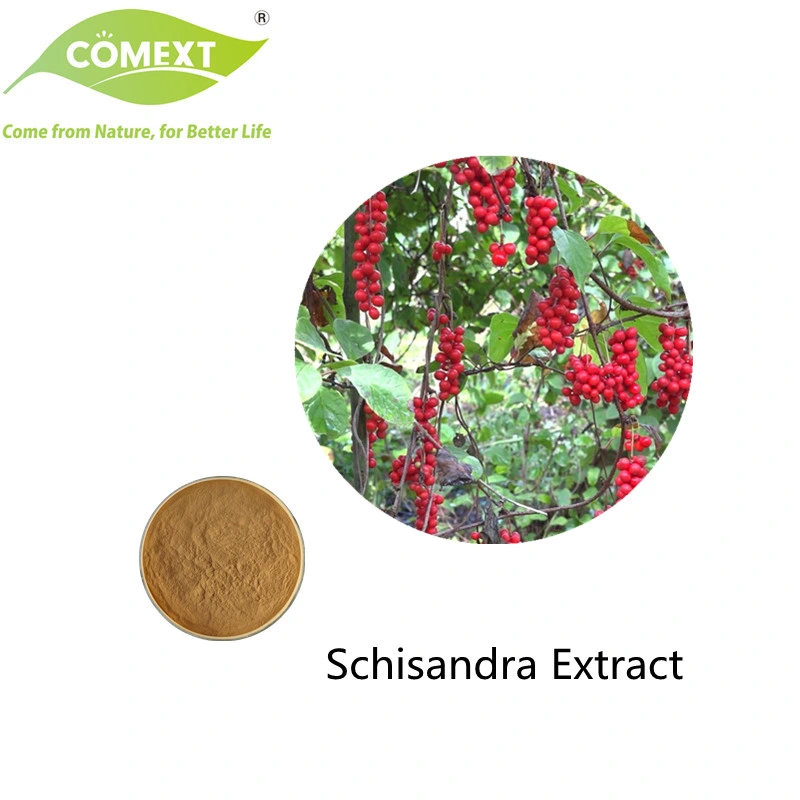 Comext Mantacturer muestra de comida gratuita de calidad superior Grado 100% Natural 1%-5% Schisandrins Schisandra chinensis