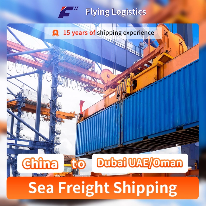 Door to Door Shipping Agent DDP Service From China to Dubai UAE/Oman