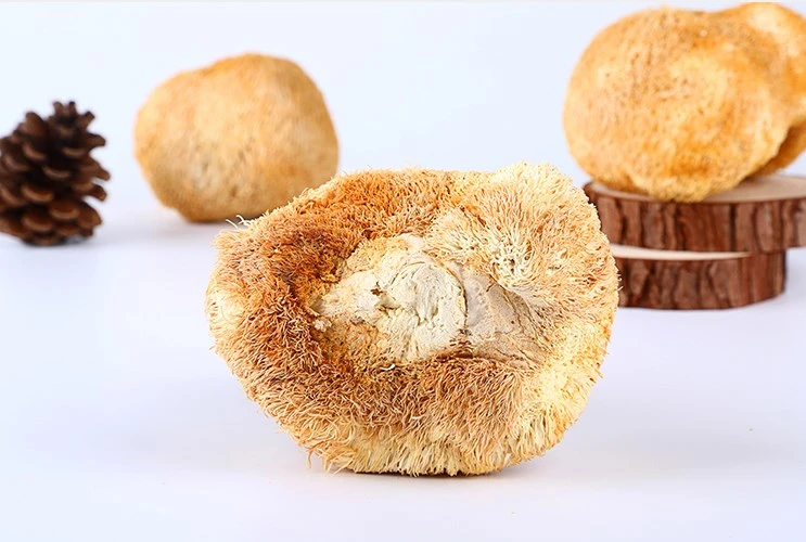 Hou Tou Gu Hericium Erinaceus Mushroom Extract Dried Lions Mane Mushroom