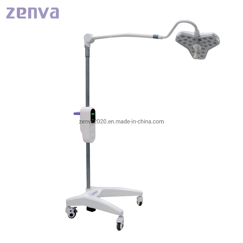 Modern Battery Operated Exam LED Emergency Cold Stand Floor Surgical Light