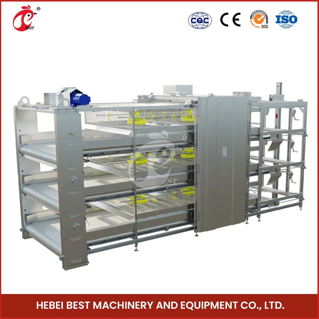 Bestchickencage H Frame Broiler Cages China Steel Structure Chicken House Suppliers Applicable Poultry Field Broiler Cages for Sale