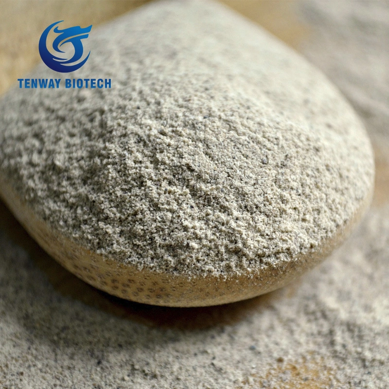 Wholesale Food Ingredient/Food Additive White Pepper Powder /Ground at Factory Price