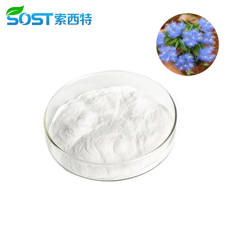 Hot Sale Plant Medicine Beta-ecdysone 20 Hydroxyecdysone Cyanotis Arachnoides Extract