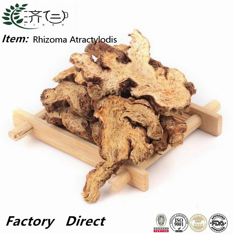 Завод поставки Rhizoma Atractylodis Macrocephaiae Chinese Herb Cang Zhu