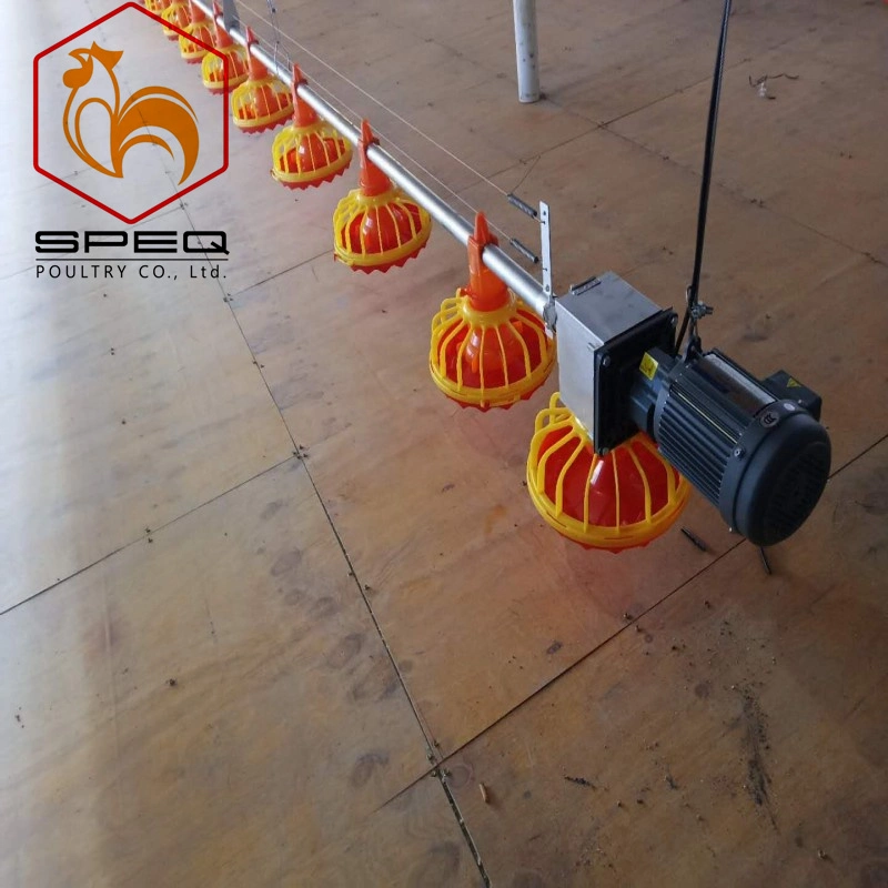 Durable Poultry Farm Equipment Automatic Pan Feeding System for Broiler House