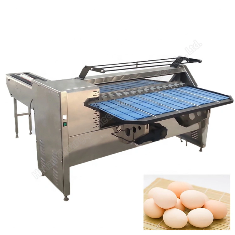 Commercial Egg Grading Machine Egg Grading Sorter Egg Size Sorter Eggs Sorting Machine with Stamping Egg Grading Machine for Sale