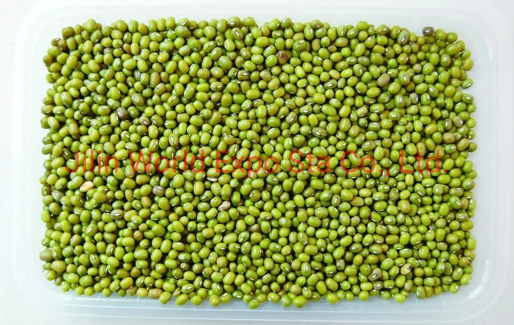 Wholesale/Supplier Dried Green Beans 4.0mm for Food