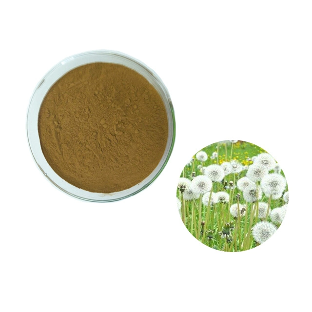 Fábrica Proveedor de Dandelion Extracto raíz Ingredientes polvo