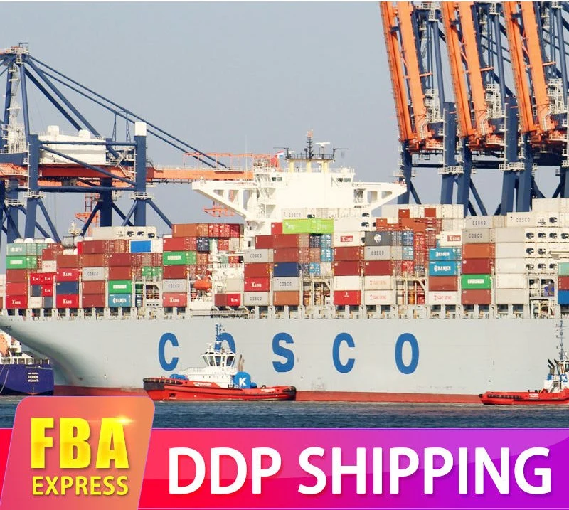 Shipping Agents Logistics Forwarder From China to USA DDP Service Suppliers From Shenzhen Guangdong China to USA in China