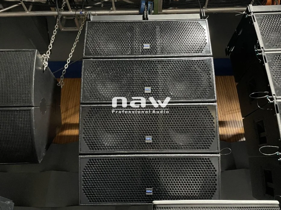 Professional 12 Inch Double Inch Outdoor Concert Hanging Speaker Line Array System Naw Audio