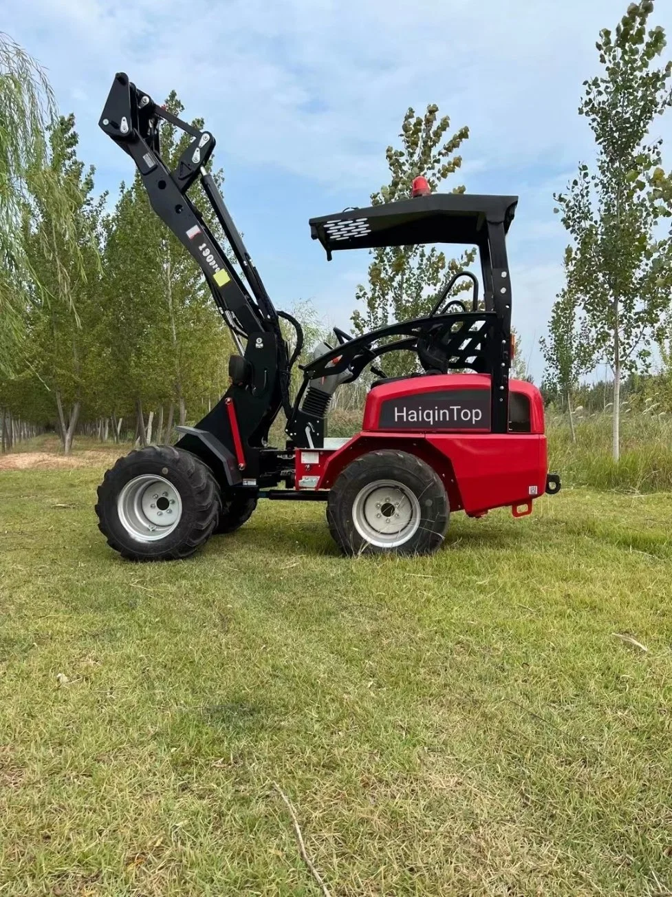 China New Designed (HQ190PRO) Heracles H190 Mini Loader