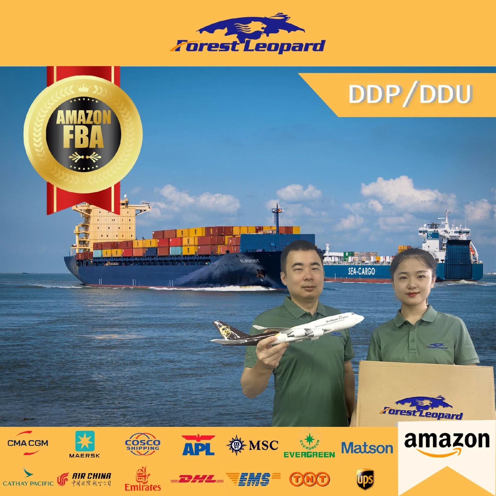 Fba Sea Freight Forwarder Shipping Cost China to UK/France/Germany/Poland/Europe DDP Service