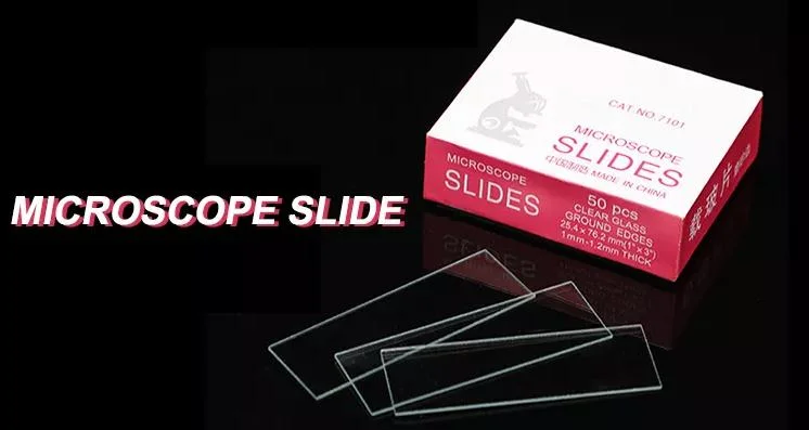Microscope Slide Glass Prepared Microscope Slides Microscope Slides