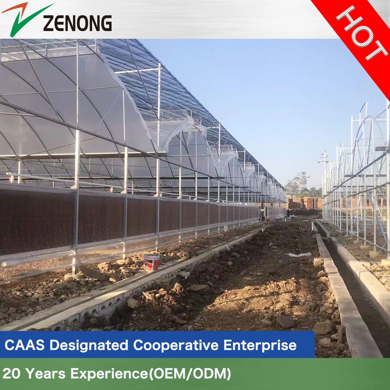 Agriculture Multi-Span Film Green House with Good Roof Natural Ventilation for Vegetables/Hydroponics/Flowers/Roses