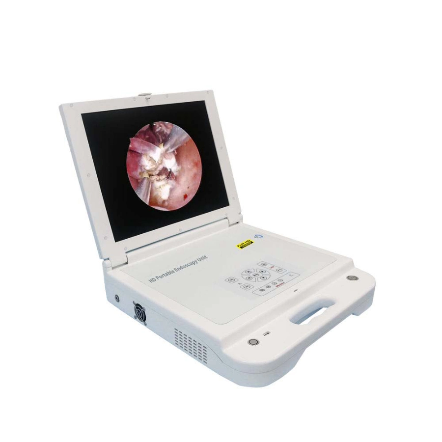 Portable HD Medical Monitor LED Light Source Ent CCD Endoscope Camera Portable Endoscopy Unit