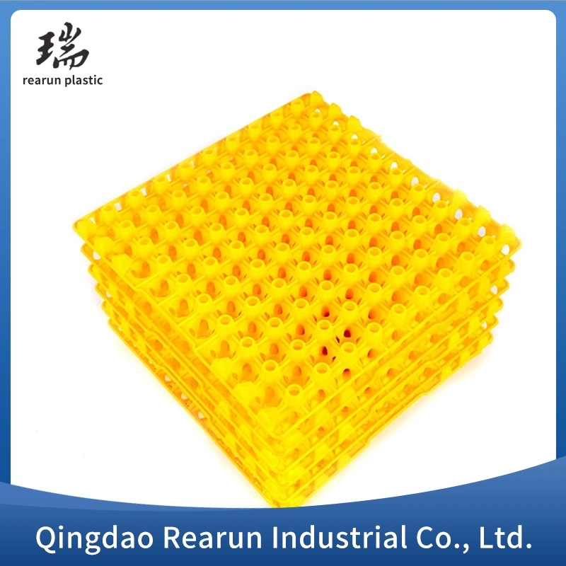 Wholesale/Supplier 30 Holes Plastic Egg Tray Plastic 30 Egg Tray Plastic