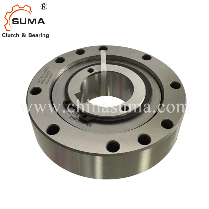 Fxm Integrated Freewheels Bearing Backstop Clutch (Sprag clutch)