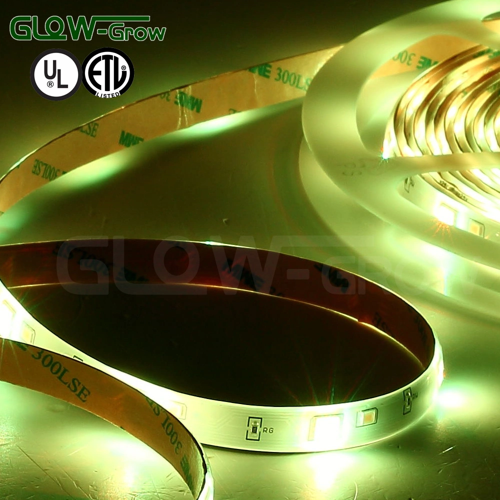 Faixa de luz LED flexível RGBW de fábrica, 12 V, 5 m, 30 LEDs/M, à prova de água Para decoração de férias em casa