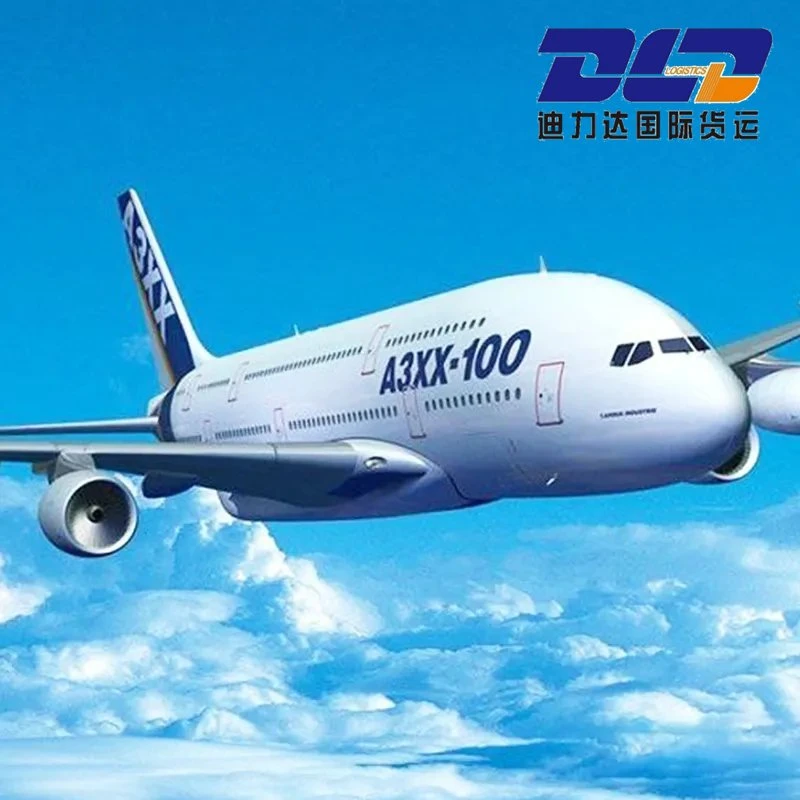 Logistics/Freight Forwarding/China to Malaysia Air Sea Intermodal Transport DDP