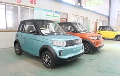 2021 Hot Sell Electric Car Made in China with The Cheapest Price and EEC Certificate Brand New One