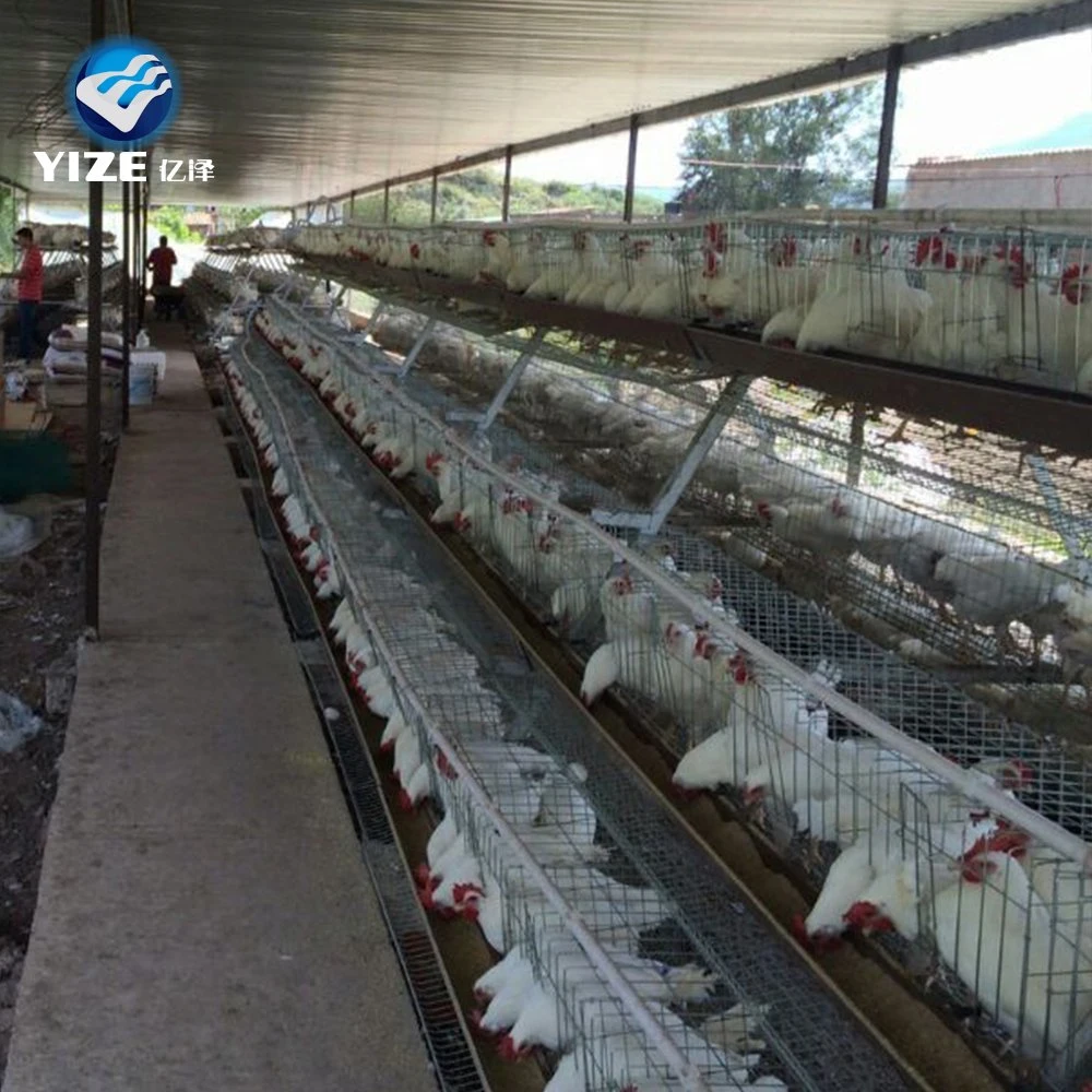 Hot Sale Good Quality Automatic Chicken Cage Poultry Farm Equipment