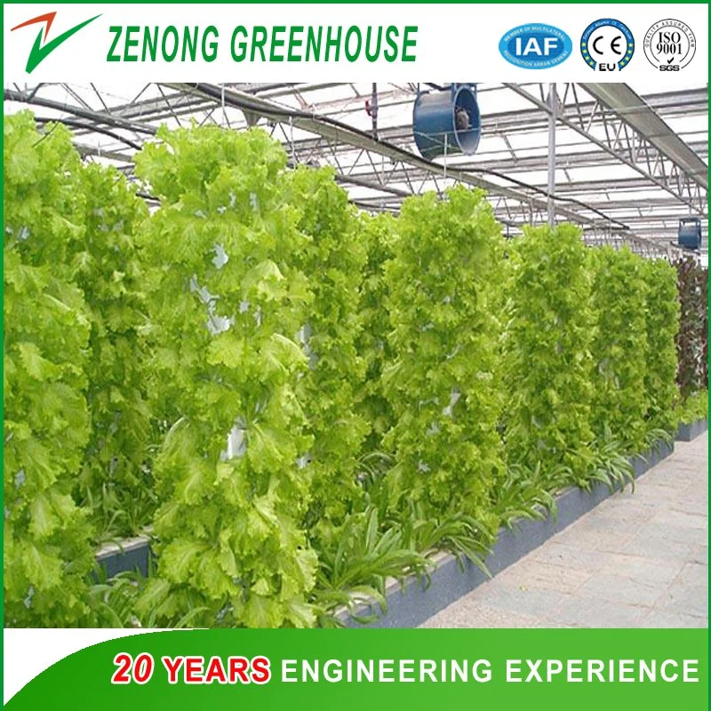 Pillar Type Hydroponics for Leafy Vegetables/Salad/Lettuce/Bitter Chrysanthemum