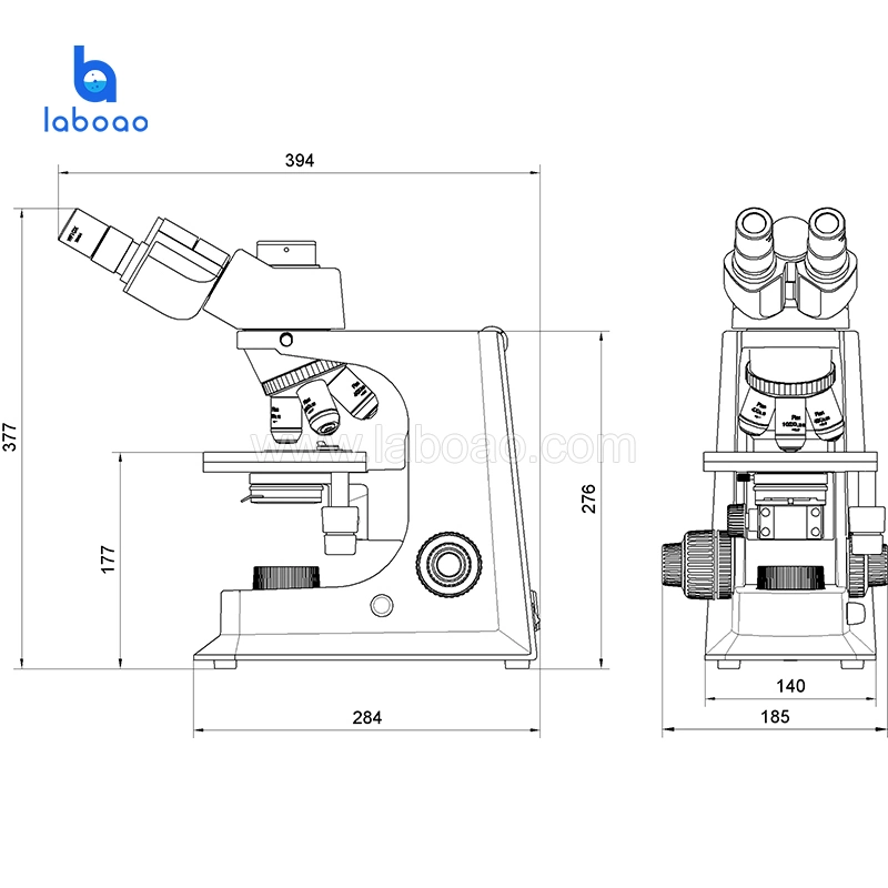 Digital Camera Biological Microscope for Advanced Teaching and Clinical Examination