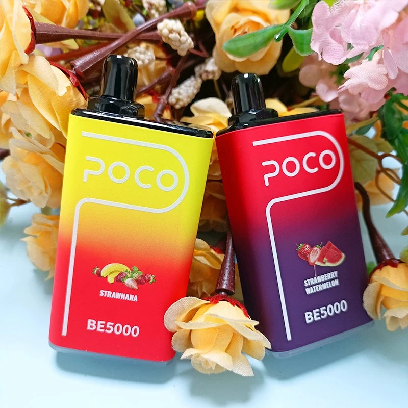 Factory Direct E-Cigarette Poco Be 5000puffs 14ml Fruit Flavors Disposable Vape