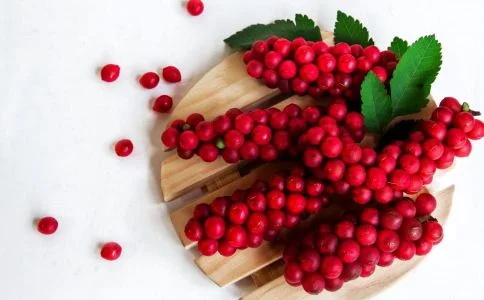 Plant Extract Schisandra Berry Extract Powder Schisandra Chinensis Extract