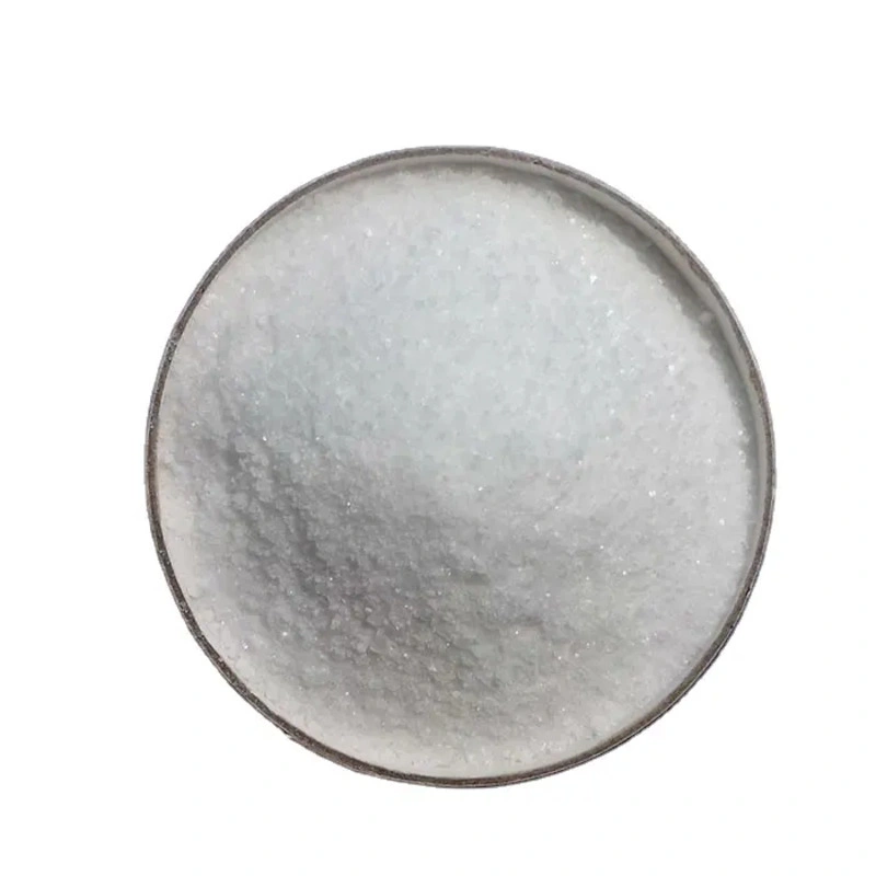 High Purity 98% 99% Sodium Gluconate for Concrete Admixture Cleaning Retarder Powder