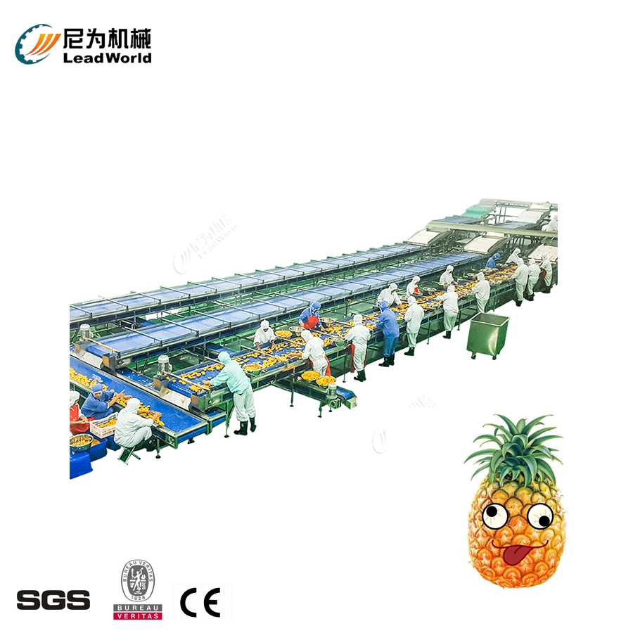 Vegetable Canned Processing Production Line Packaging Machine