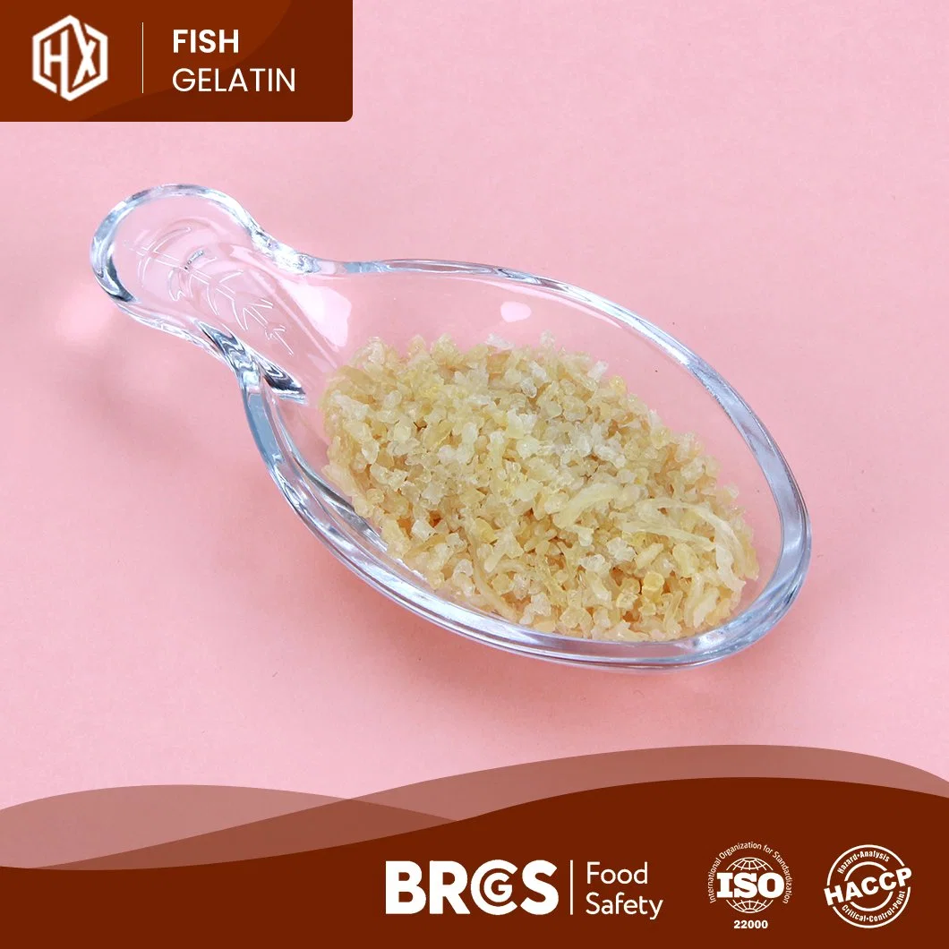 Grossista Haoxiang bacalhau em pó de gelatina de pele China Pharma Bacalhau Pele Fornecedores de gelatina de peixe bacalhau em pó de gelatina de pele Skin-Whitening Anti-Wrinkle