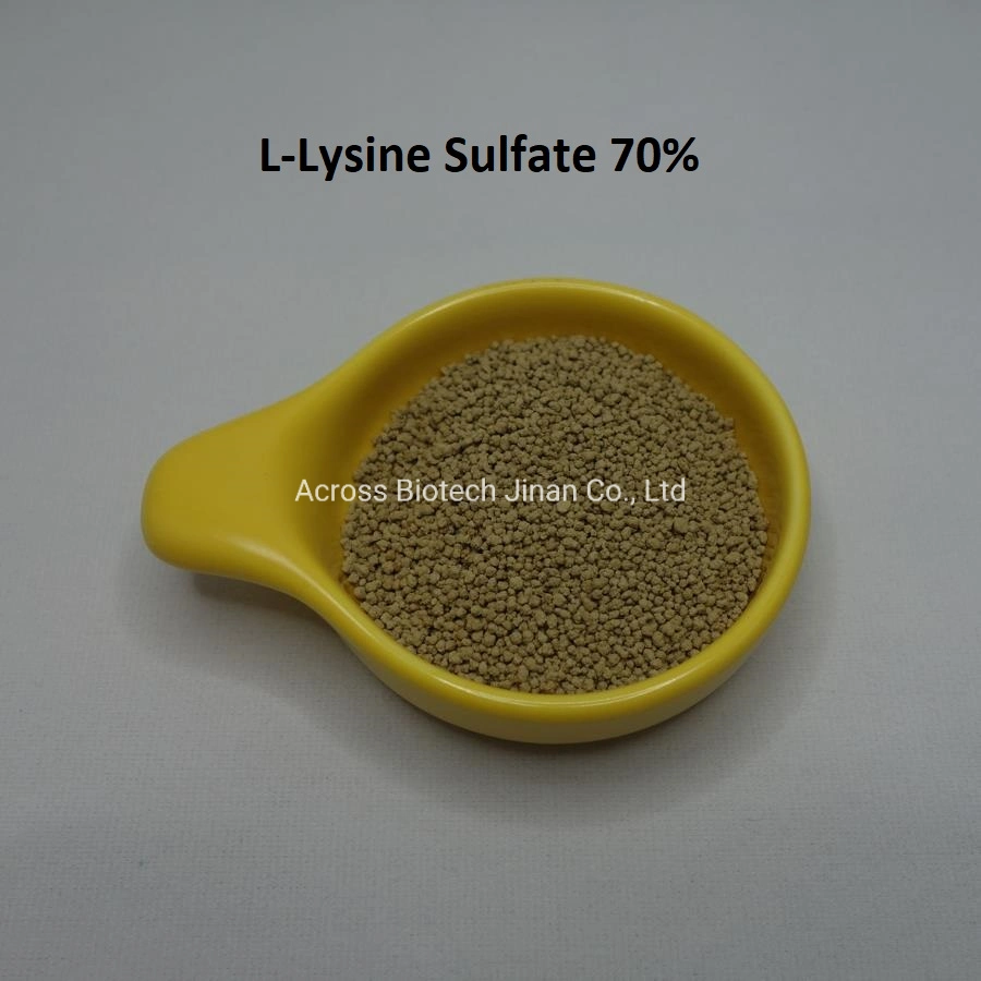 Best L-Lysine Sulphate 70% Feed Additive