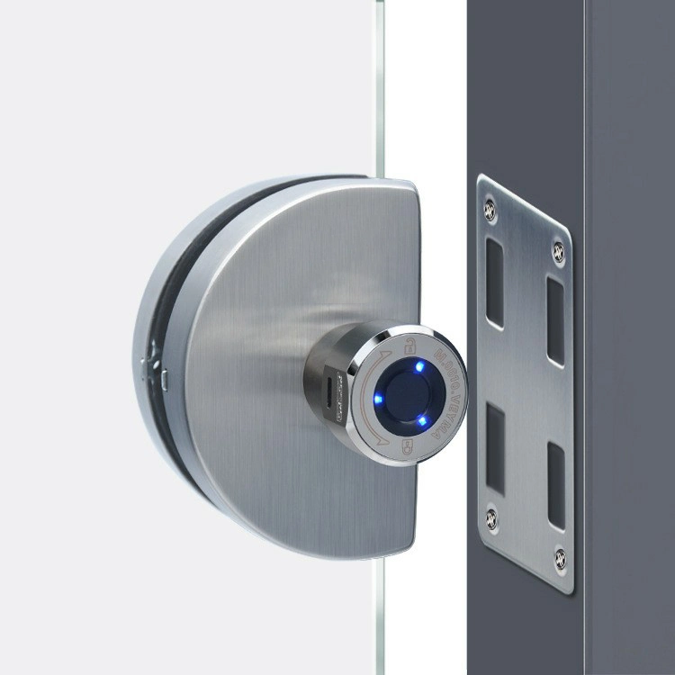 Stainless Steel Fingerprint Electric Safe Glass Door Smart Lock Hardware