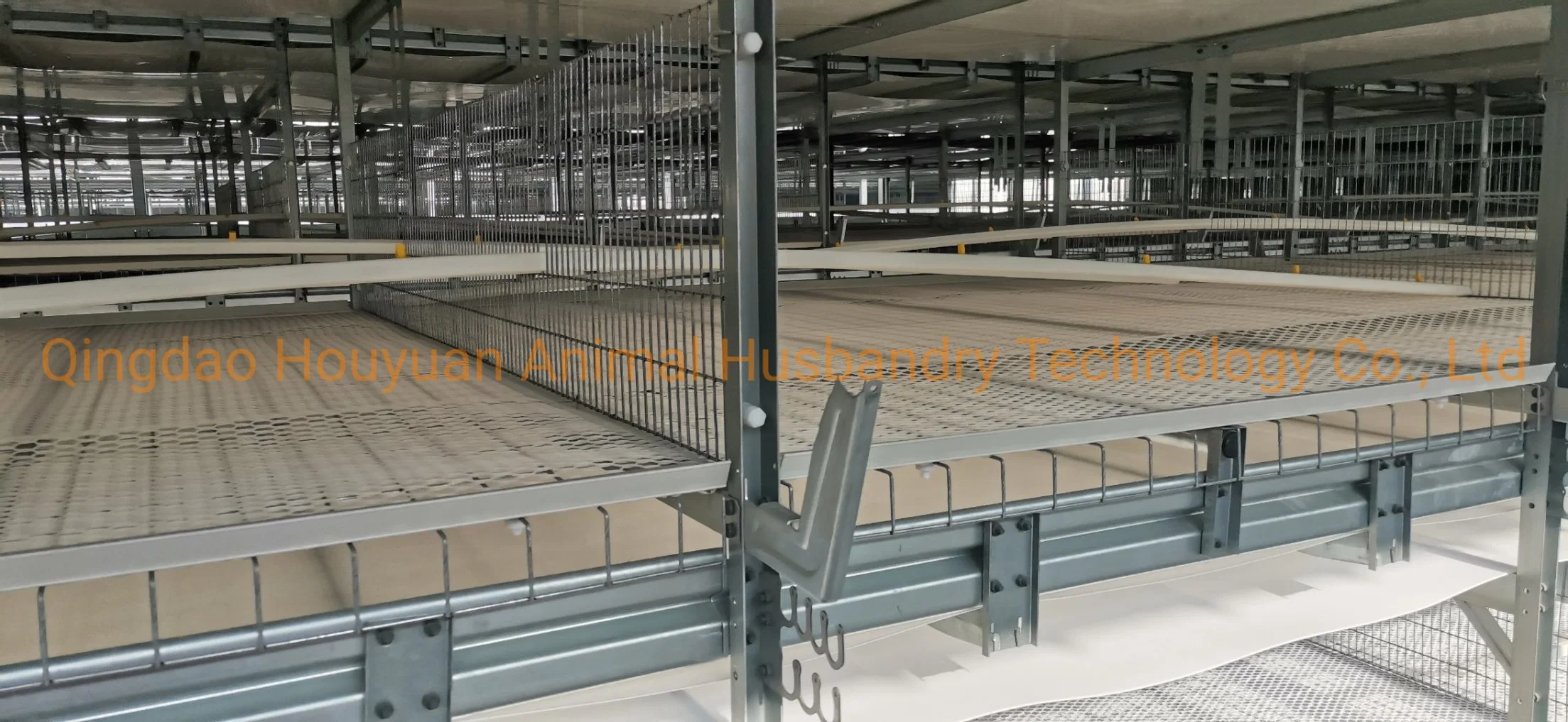 Poultry Farm Layer Cage Layer Farm Chicken Cage for Sale