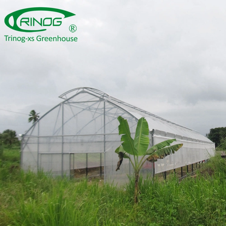 Trinog single span light tunnel film greenhouse for poultry farms