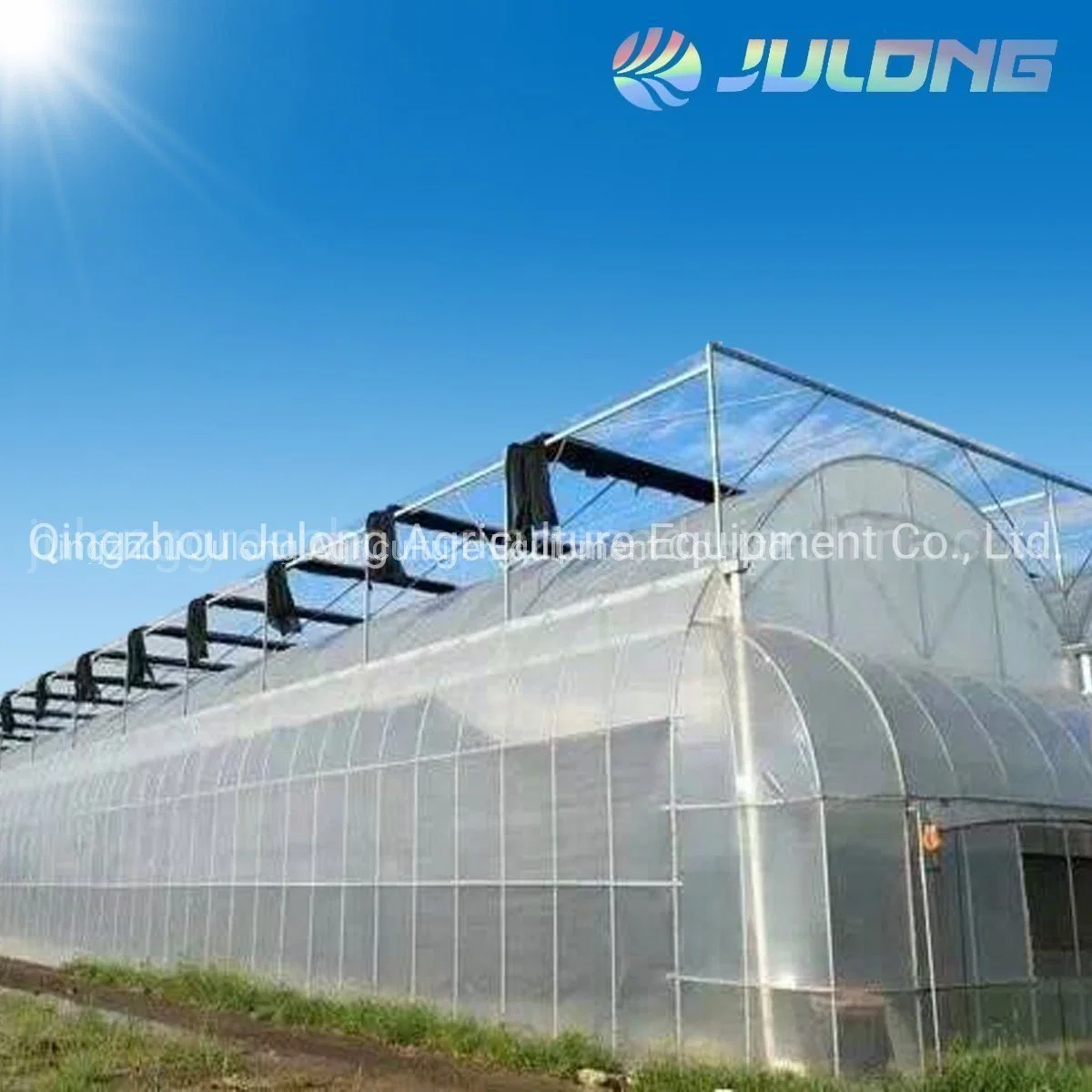 Greenhouse Multi-Span Agricultural Plastic Film Greenhouse Green House for Commercial Used