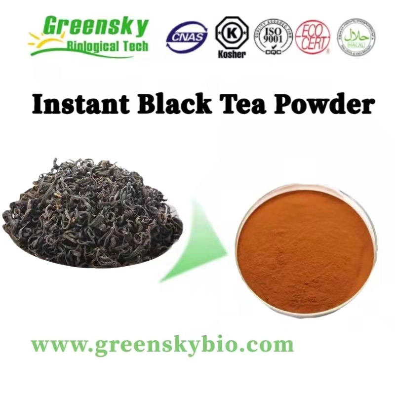 Poudre de thé noir instantané Camellia Sinensis O. Ktze. Poudre rouge brune extrait de plantes de haute qualité extrait de plantes naturel pour boisson chaude
