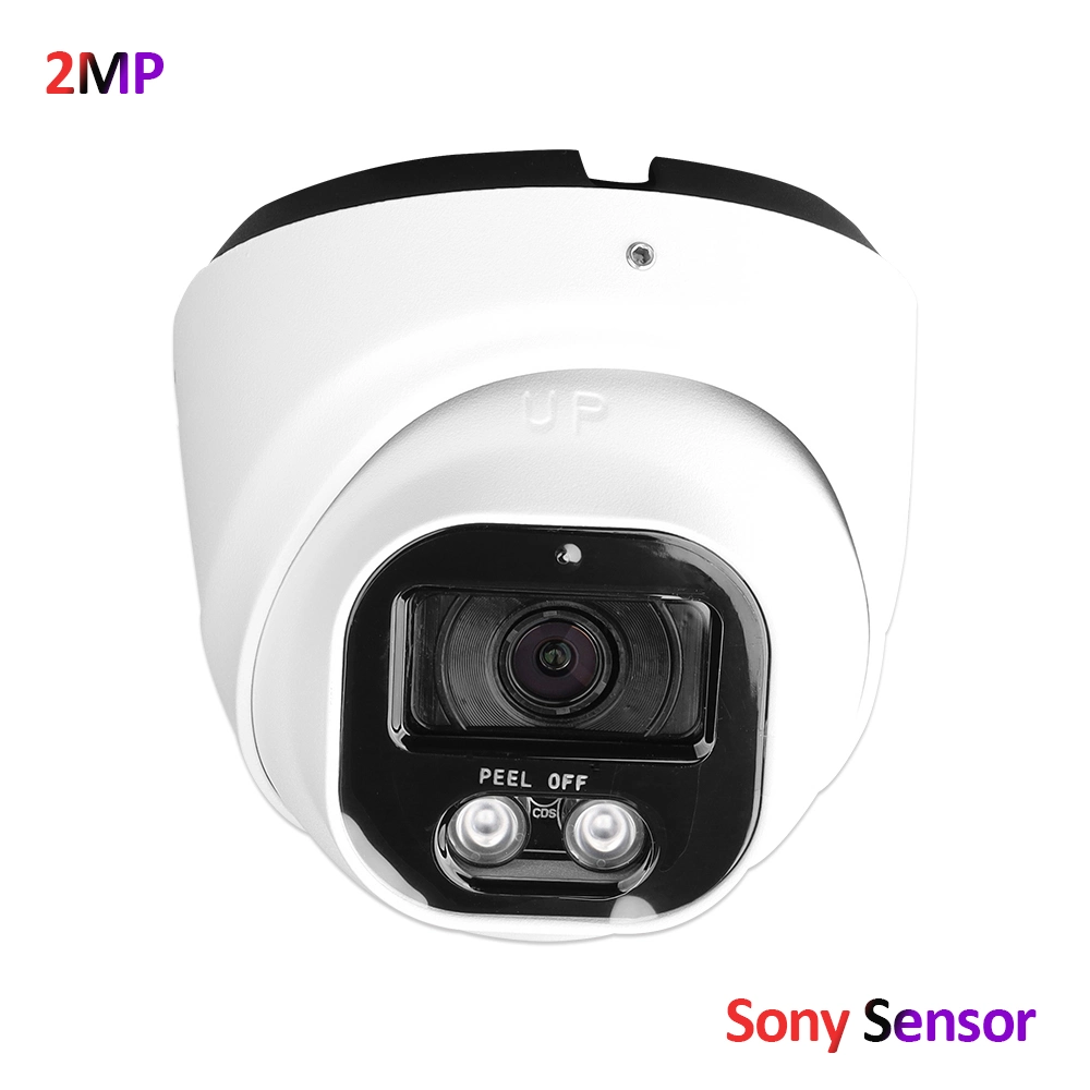 Hikvision Protocol 2MP Sony Colorvu Poe CCTV IP Security Video Full Folor Turbo Camera with Audio Human Motion Detection