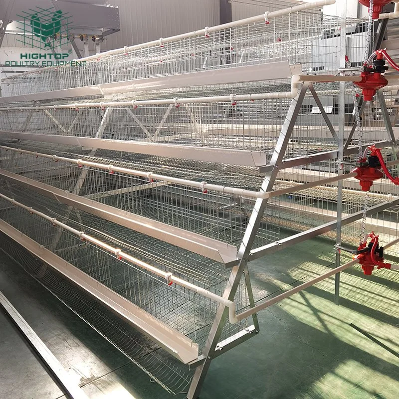 Zinc Aluminum Multi Tiers  Layer Chicken Cage With Automatic Drinking And Feeding System