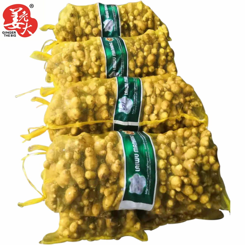 New China Ginger of 2021 Yellow Ginger Suitable for Bangladesh