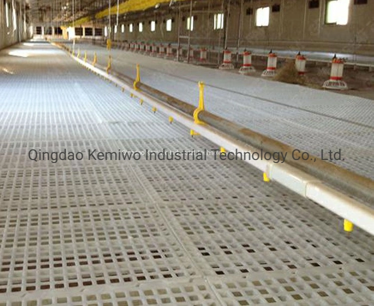 2022 Plastic Floor Mats or Plastic Chicken Floor Mesh in Lower Price