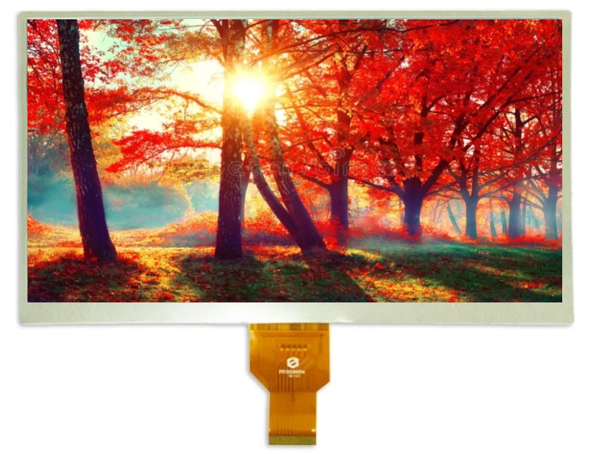 Original 10,1 Zoll 1280X800 TFT LCD Modul LCD Display Panel TFT