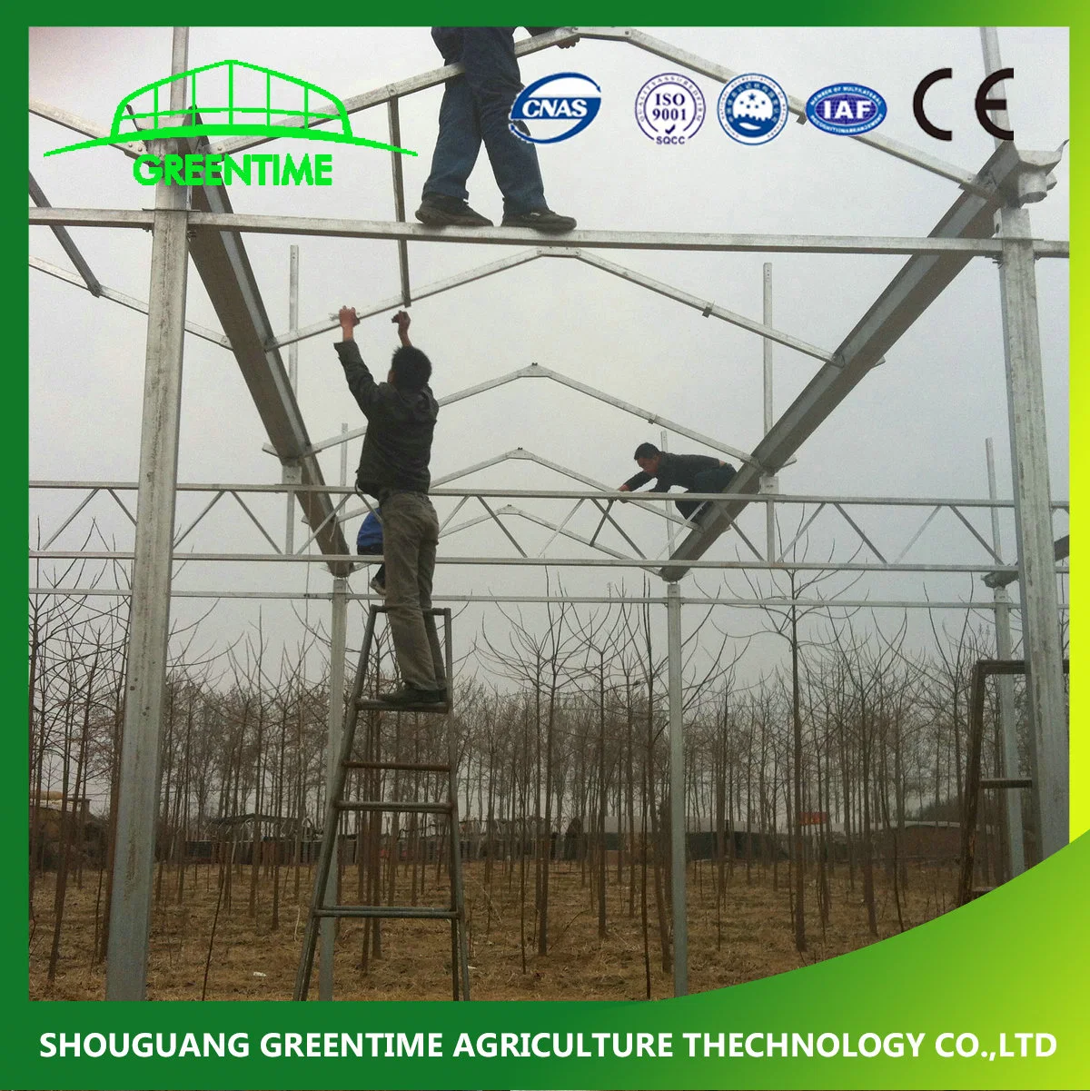 Hot Sale Commercial Polycarbonate Panels Hydroponic Greenhouse for Tomato