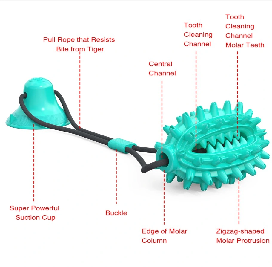 Uma ventosa para mastigar dentes limpos para limpeza de esferas para saúde dentária Brinquedo de guerra